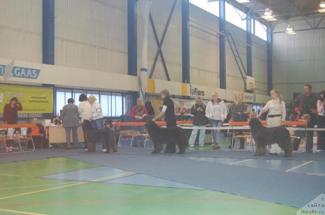 Фотография № 59493