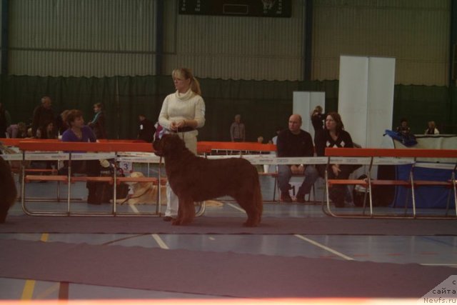 Фотография № 59495