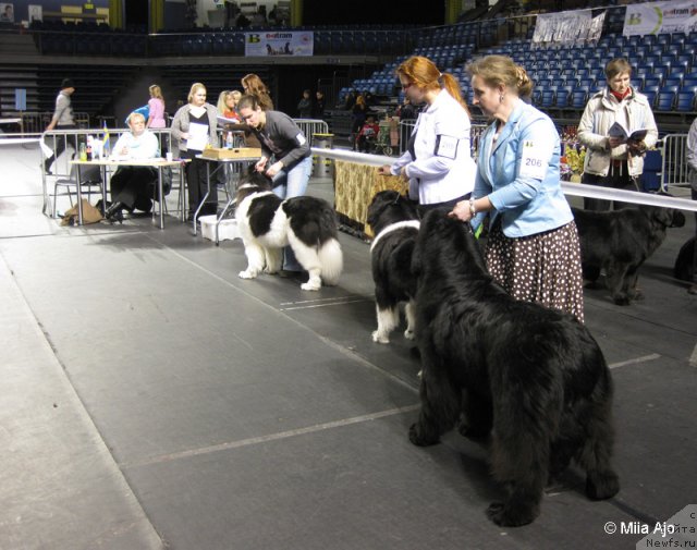 Фотография № 59516