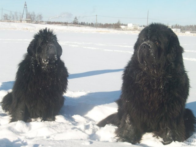 Фотография № 59578