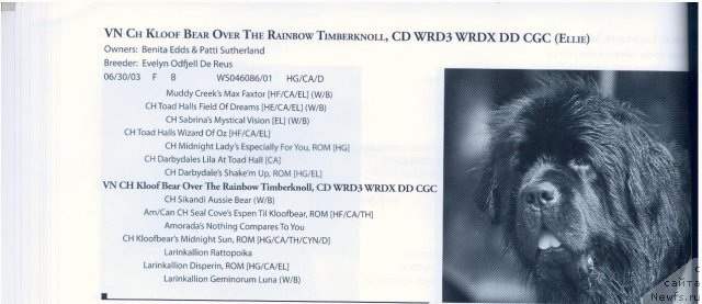 Фотография № 59669