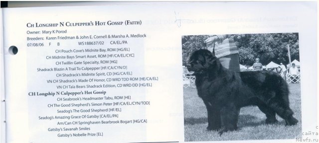 Фотография № 59675