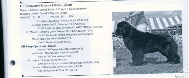 Фотография № 59679