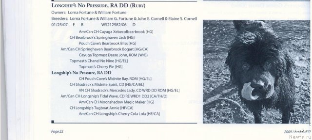 Фотография № 59683