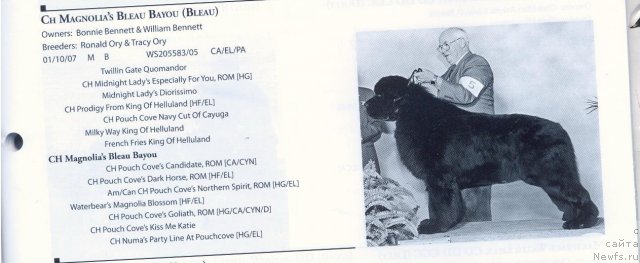 Фотография № 59685