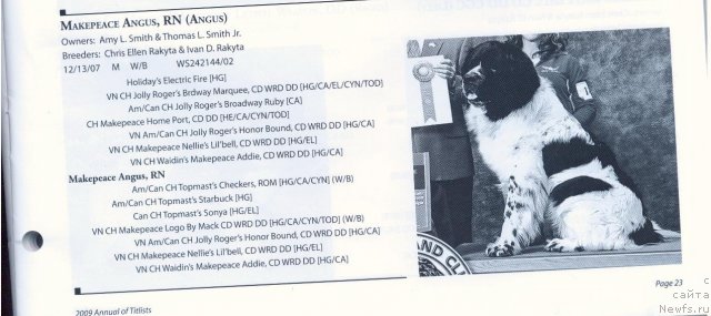 Фотография № 59686