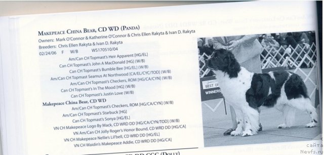 Фотография № 59688