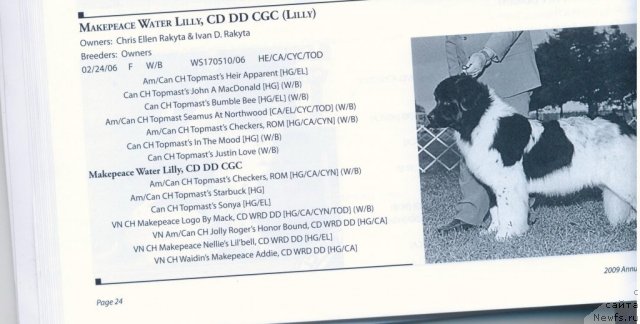 Фотография № 59690