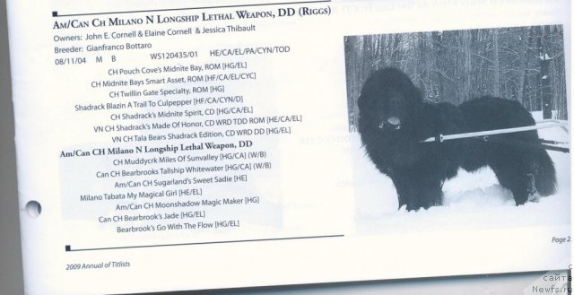 Фотография № 59693