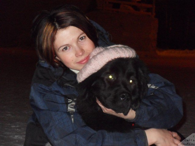 Фотография № 59699