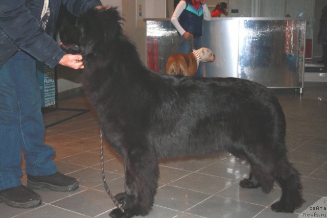 Фотография № 59702