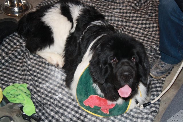 Фотография № 59704