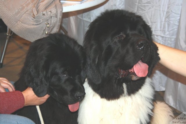 Фотография № 59706