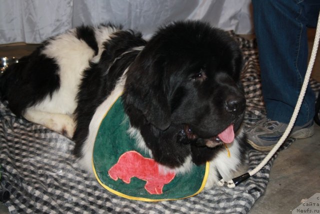 Фотография № 59708