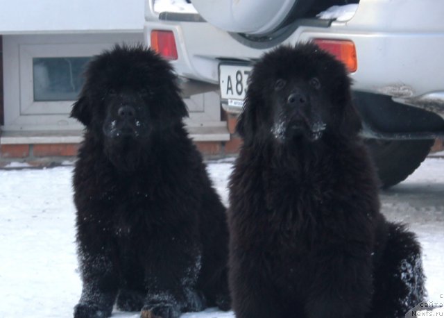 Фото: с лево на право