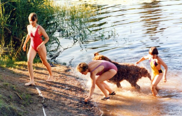 Фотография № 59722