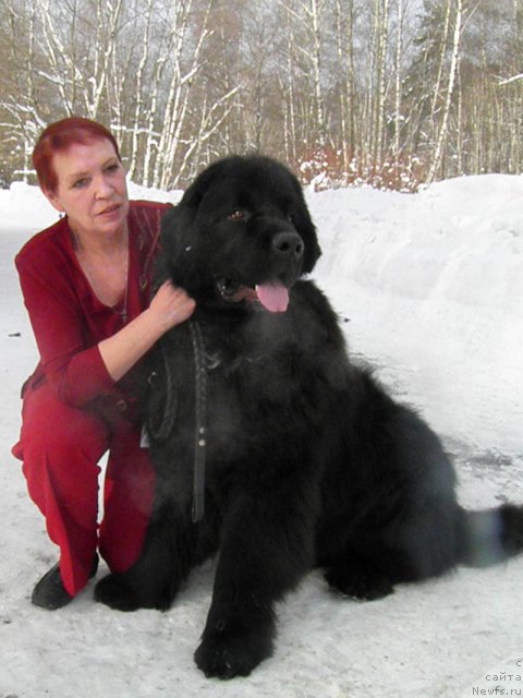 Фото: ньюфаундленд Обама Бест, Людмила Прохорова