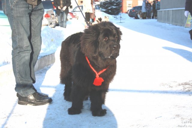 Фотография № 59736