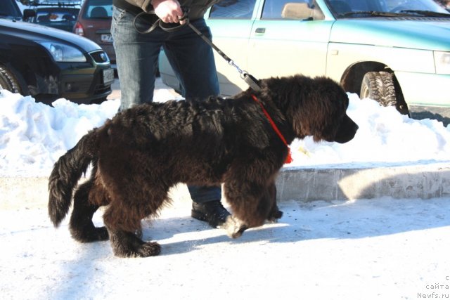 Фотография № 59737