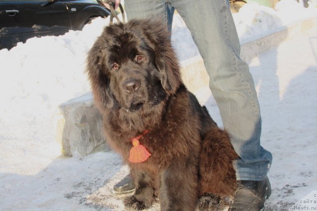 Фотография № 59739