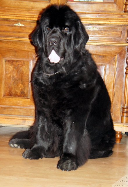 Фотография № 59761