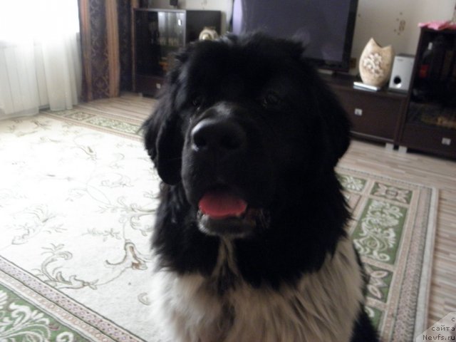 Фотография № 59763