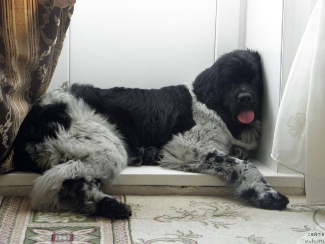 Фотография № 59764