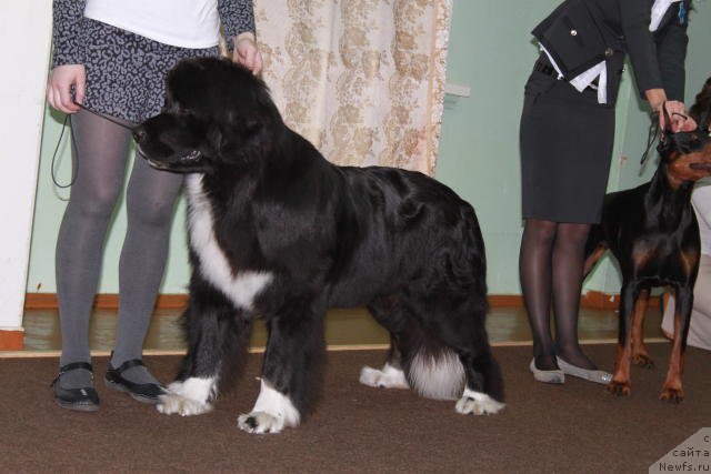 Фотография № 59773