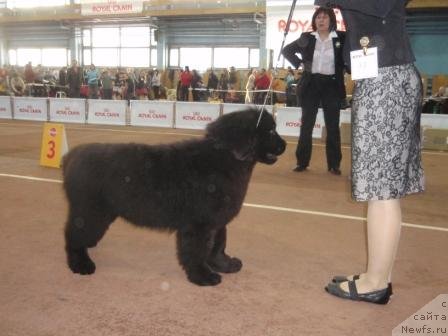 Фотография № 59775