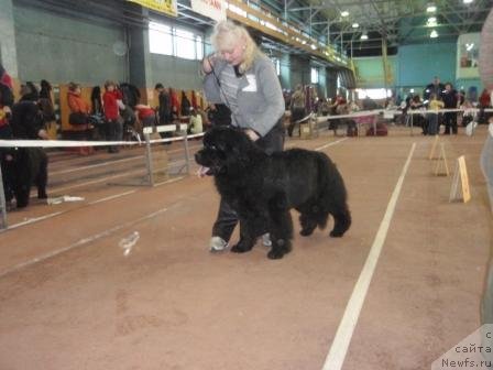 Фотография № 59777