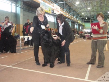 Фотография № 59780