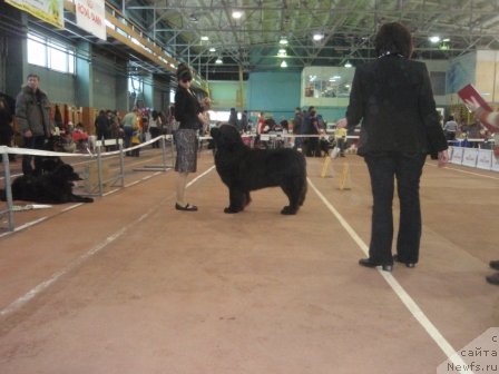 Фотография № 59782