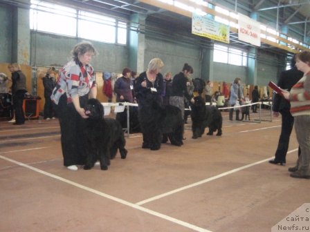 Фотография № 59783