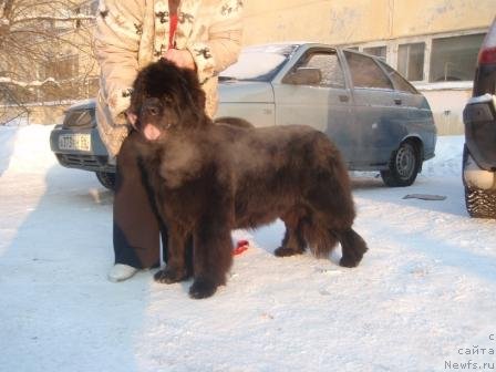 Фотография № 59787