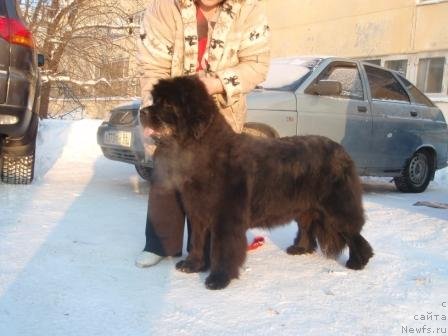 Фотография № 59788