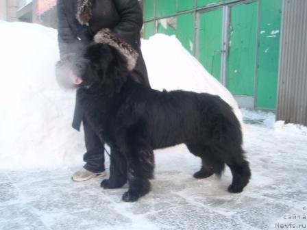 Фотография № 59789