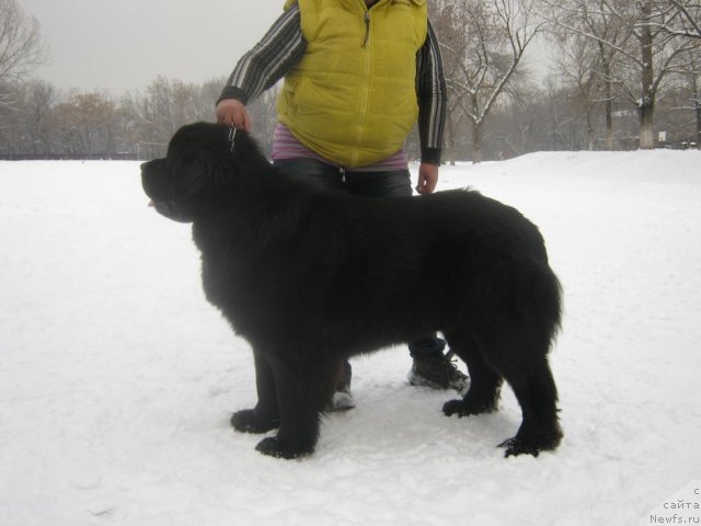 Фотография № 59792