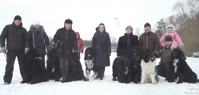 Фотография № 59919