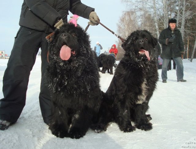 Фотография № 59920