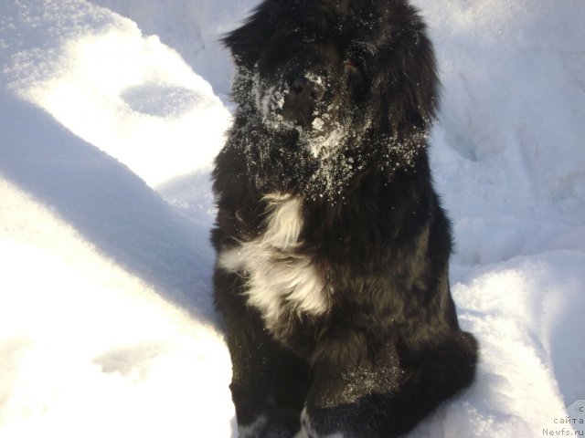 Фотография № 59923