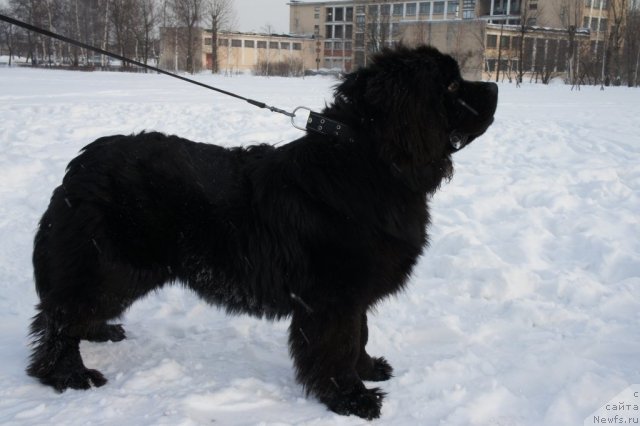 Фотография № 59924