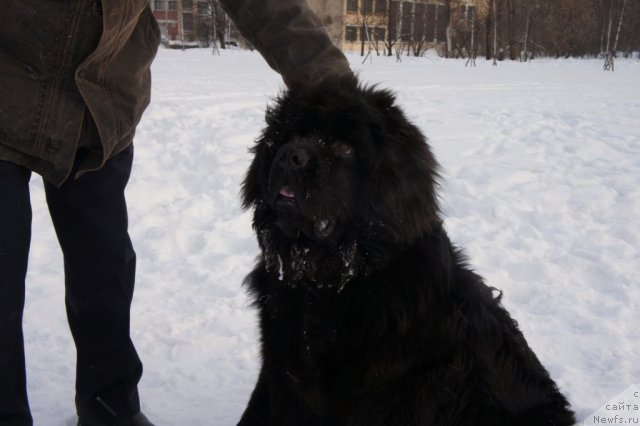 Фотография № 59926