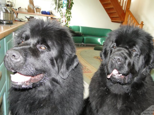 Фотография № 59999