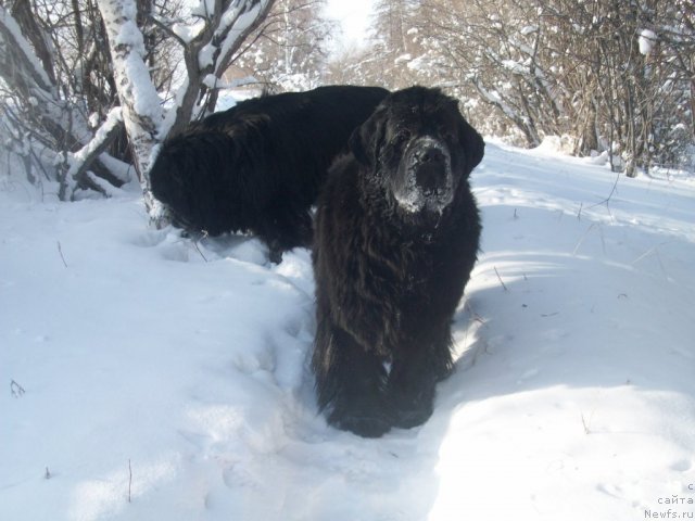 Фотография № 60004