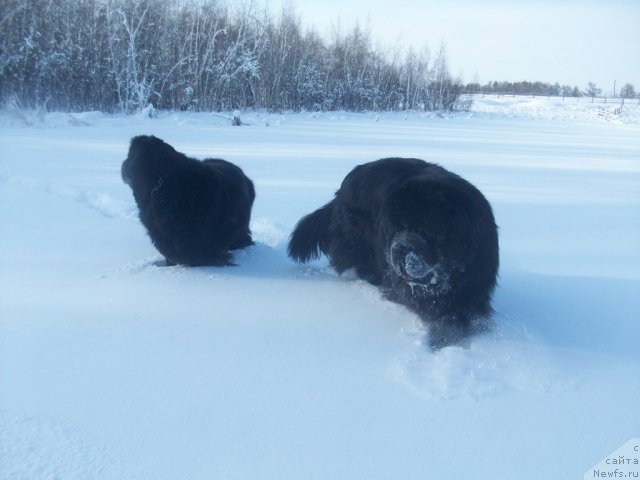 Фотография № 60007