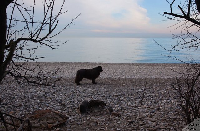 Фотография № 60045