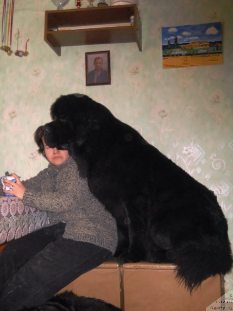 Фотография № 60070