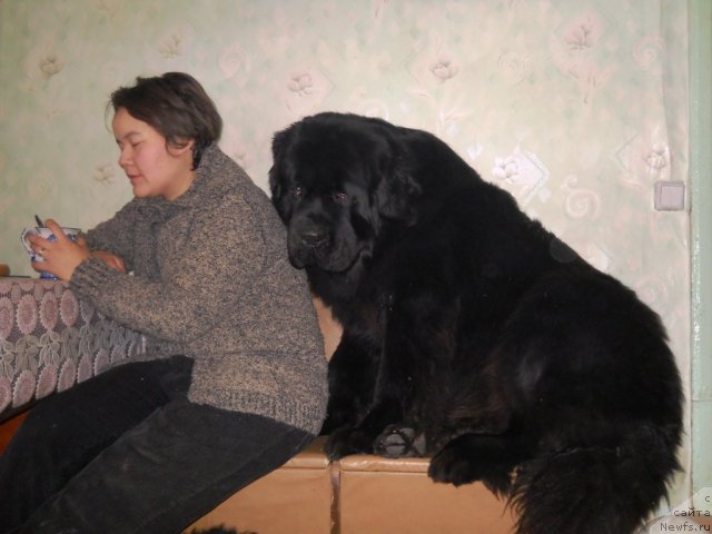 Фотография № 60071