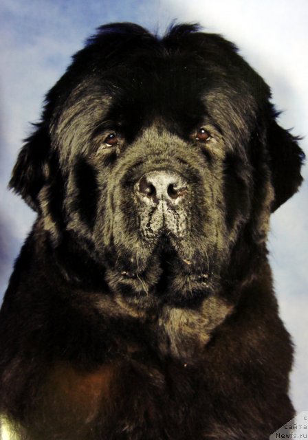 Фотография № 60074