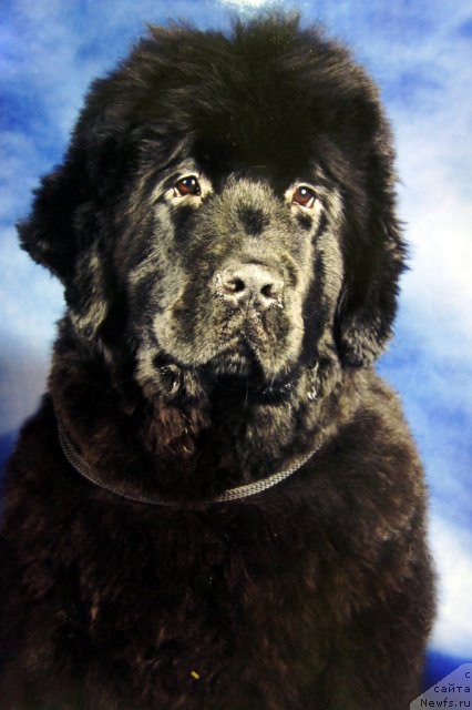 Фотография № 60076